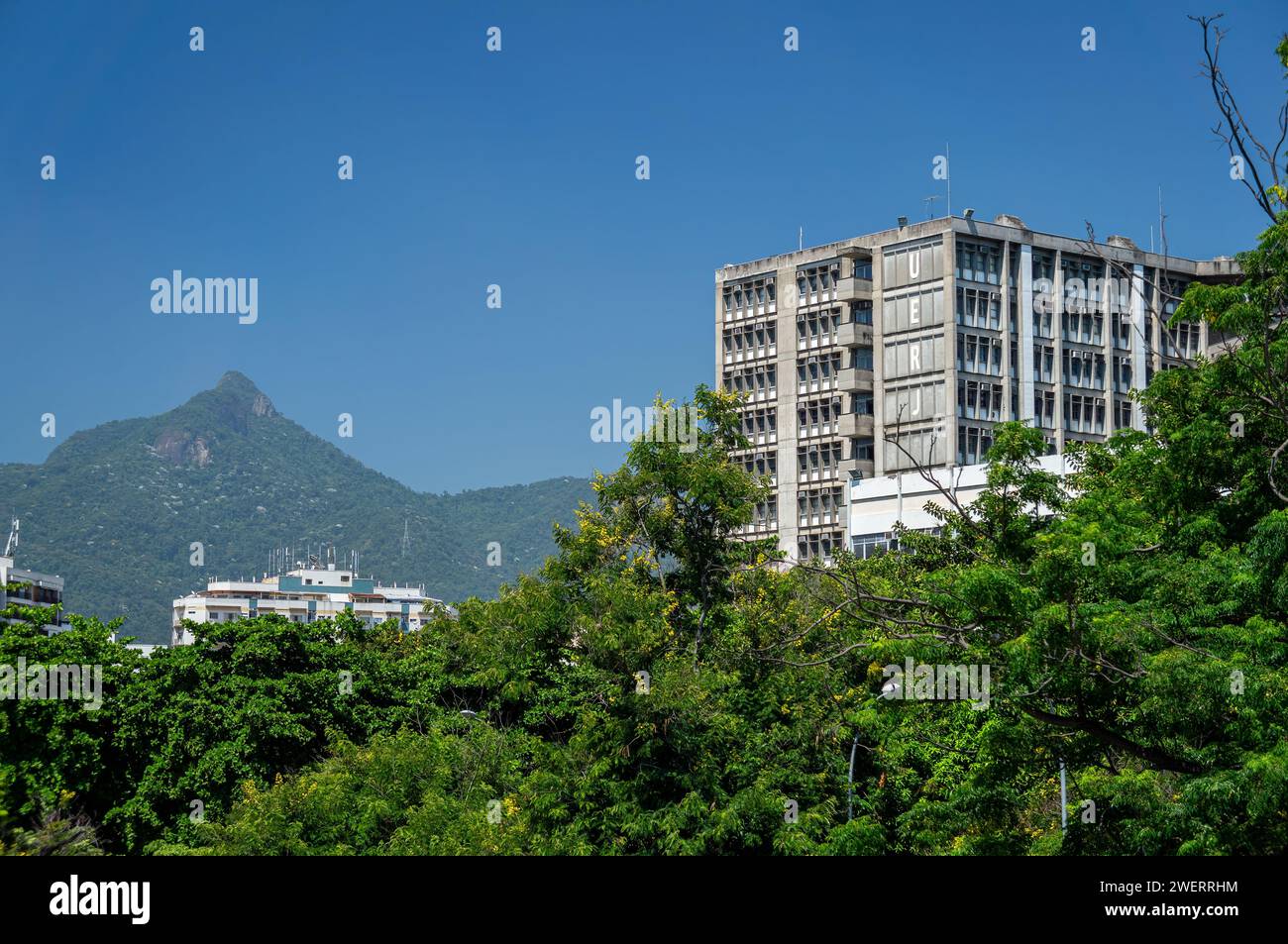 Vue partielle de l'un des blocs de construction de l'Université d'État de Rio de Janeiro (UERJ) avec beaucoup d'arbres de végétation verte à elle sous le ciel bleu d'été. Banque D'Images