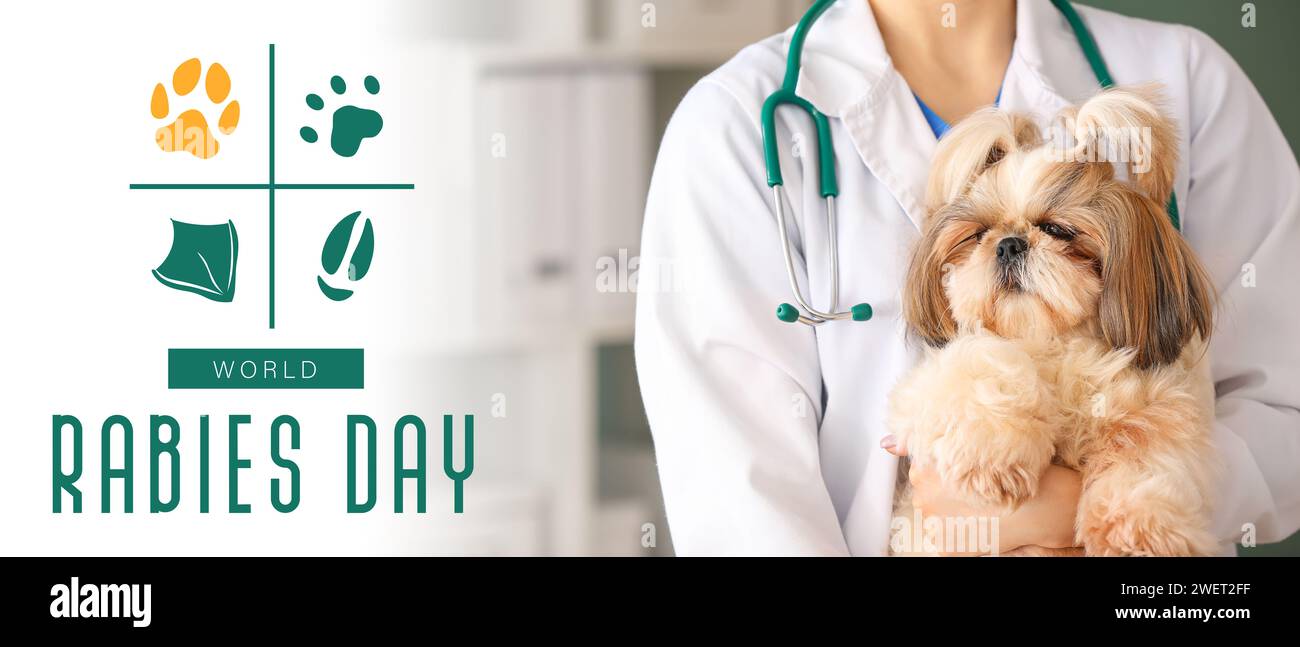 Bannière de sensibilisation pour la Journée mondiale de la rage avec chien et vétérinaire Banque D'Images