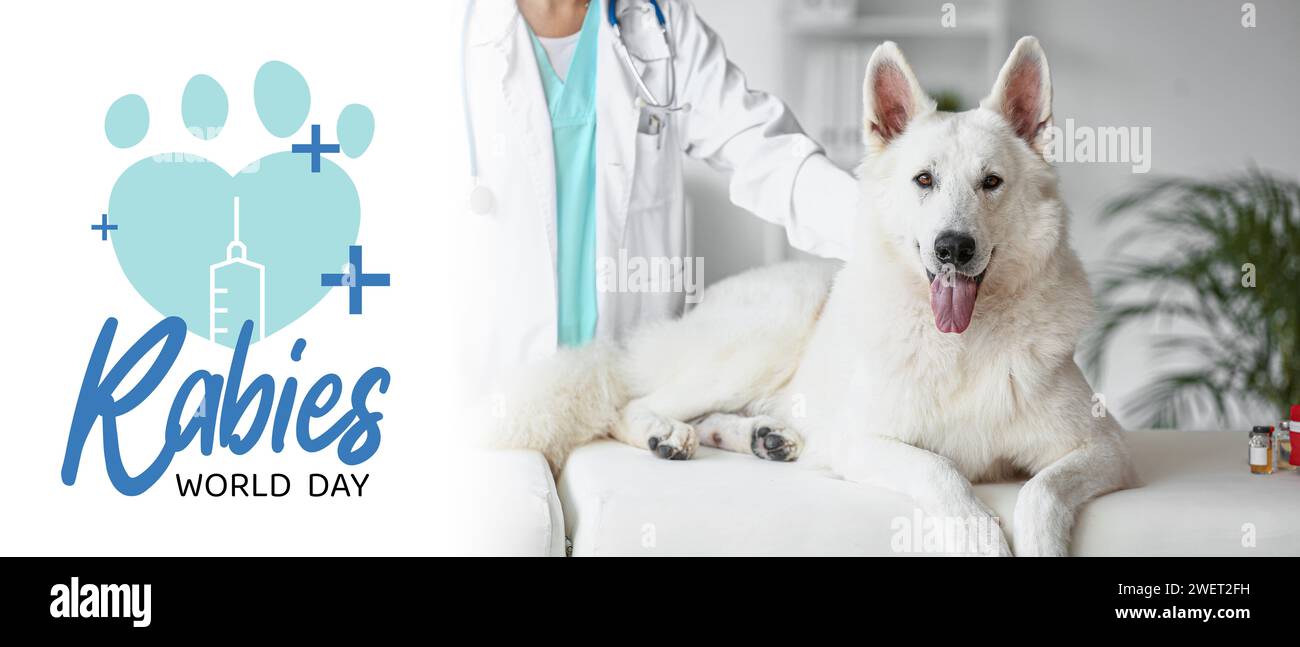 Bannière de sensibilisation pour la Journée mondiale de la rage avec chien et vétérinaire Banque D'Images