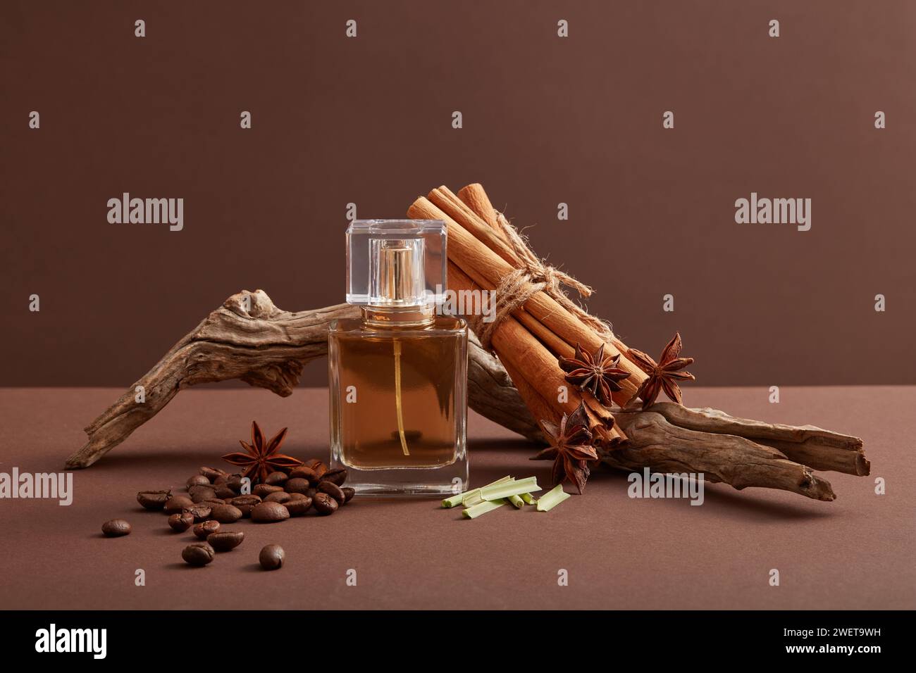 Vue de face de la bouteille de parfum vide avec bâtons de cannelle, anis, café et brindilles sèches sur fond sombre. Scène de maquette pour produit d'arôme naturel Banque D'Images