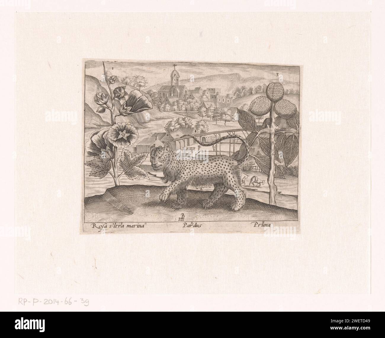 Série d'impressions avec des fleurs et des animaux dans un paysage, c. 1600 - c. 1605 impression à gauche une rose de bâton (Rosa Ultra Marina), à droite un prunier (Pruna), et au milieu un léopard (Pardus). fleurs gravées sur papier : rose. bêtes de proie, animaux prédateurs : léopard. fruits : prune Banque D'Images