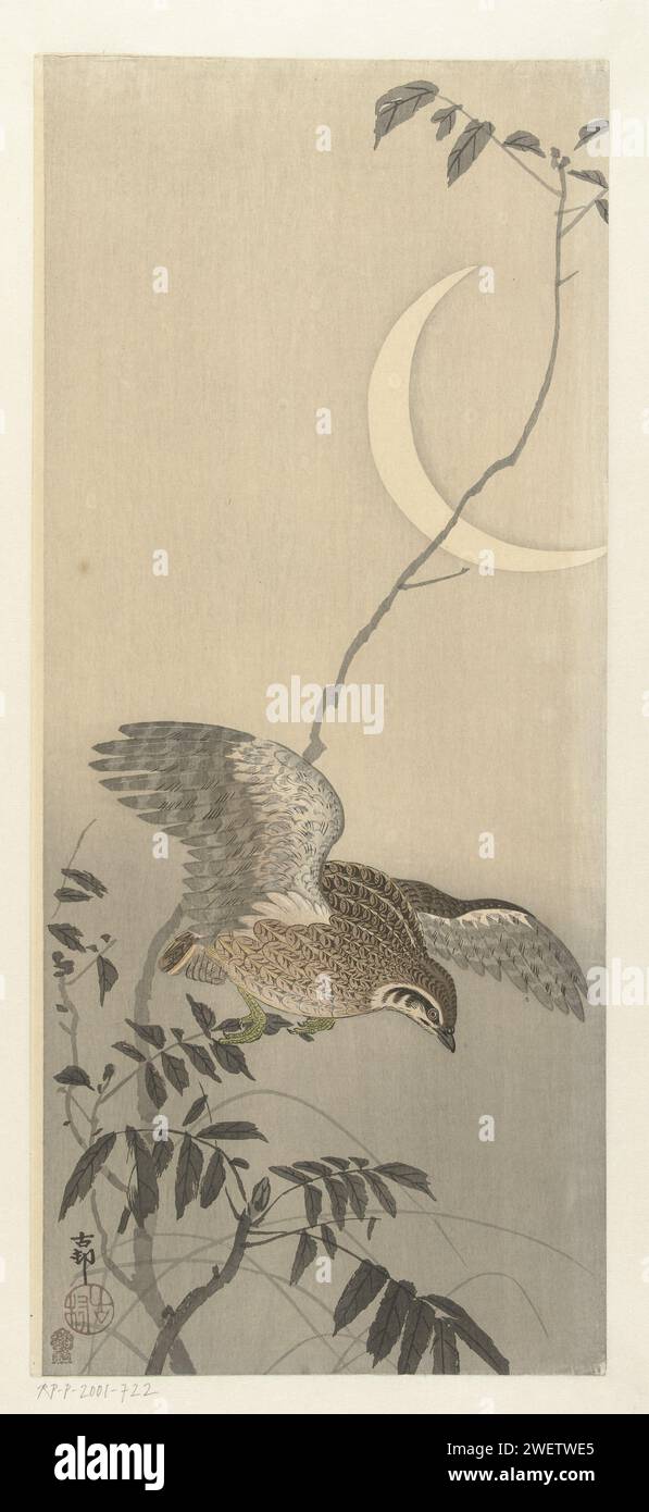 Caille à Sikkel Maan, 1900 - 1910 imprimer caille, volant à Boom et faucille lune. oiseaux gravés sur bois couleur papier. lune comme corps céleste. plantes ; végétation Banque D'Images