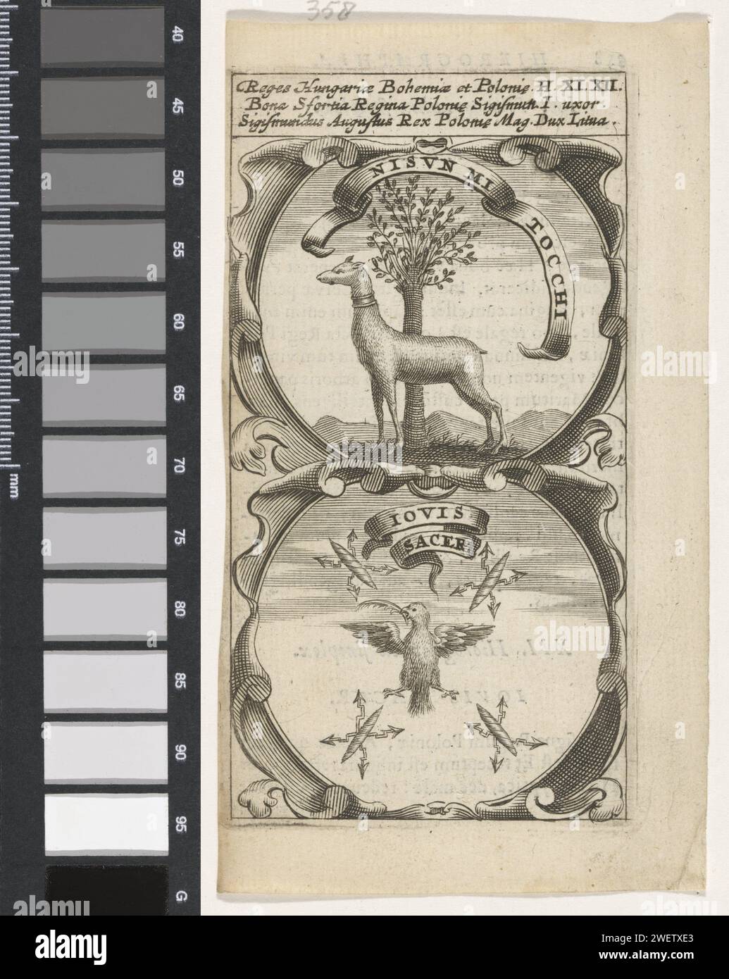 Chien à un arbre / oiseau de proie avec branche de palmier entouré par des éclairs, anonyme, d'après aegidius sadeler (ii), 1666 imprimer un emblème avec deux représentations. Au-dessus d'un chien pour un arbre. Sous un oiseau de proie avec une source ou une branche de palmier et autour de lui quatre éclairs de Jupiter. Ce sont les avançons de Bona Sforza, épouse de Sigismond Ier van Polen, et Sigismond II août. chien de gravure sur papier / impression typographique. arbres. oiseaux prédateurs. foudre, éclair, coup de foudre Banque D'Images