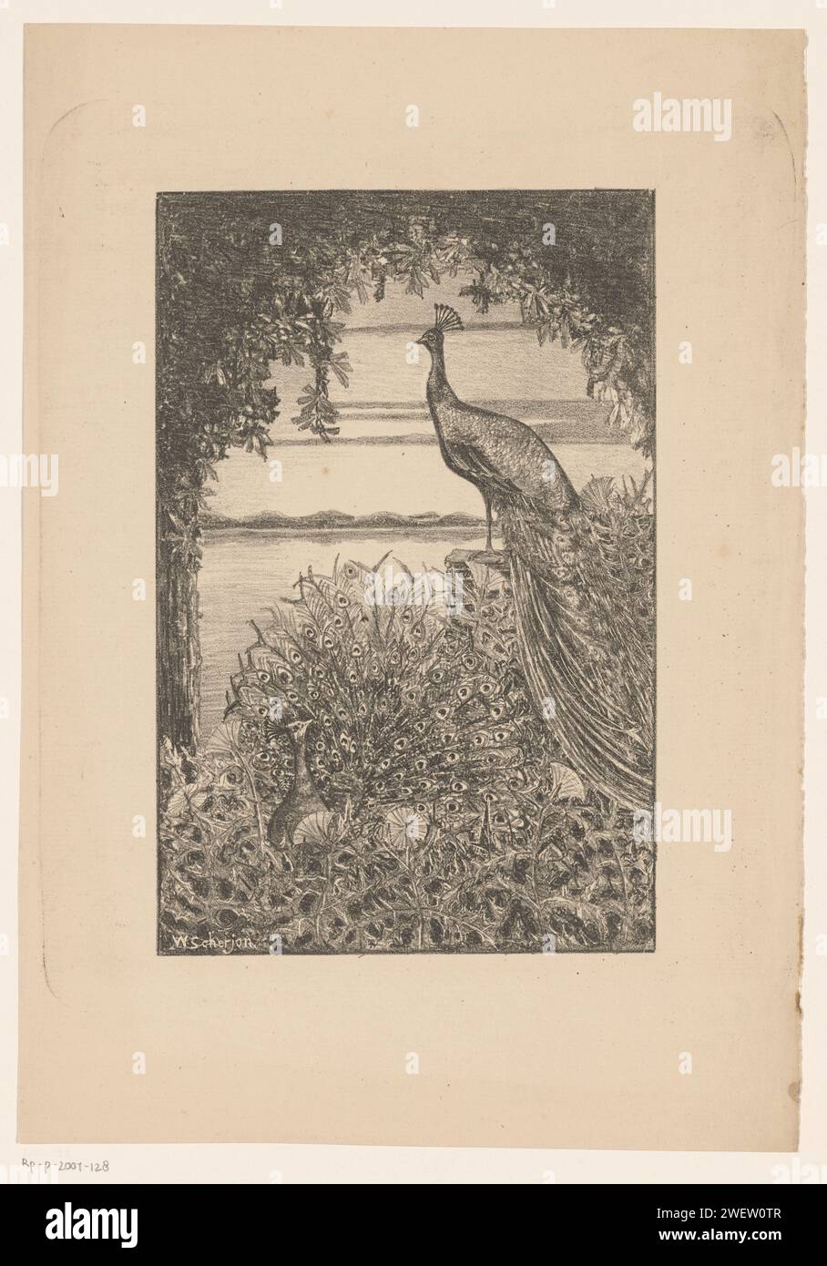 Paon assis et debout dans la nature, Willem Scherjon, c. 1888 - c. 1939 imprimer Un paon assis avec des plumes germées et un paon debout sous un arc de végétation. Le paon debout surplombe l'eau. oiseaux ornementaux en papier : paon. plantation. cours d'eau Banque D'Images