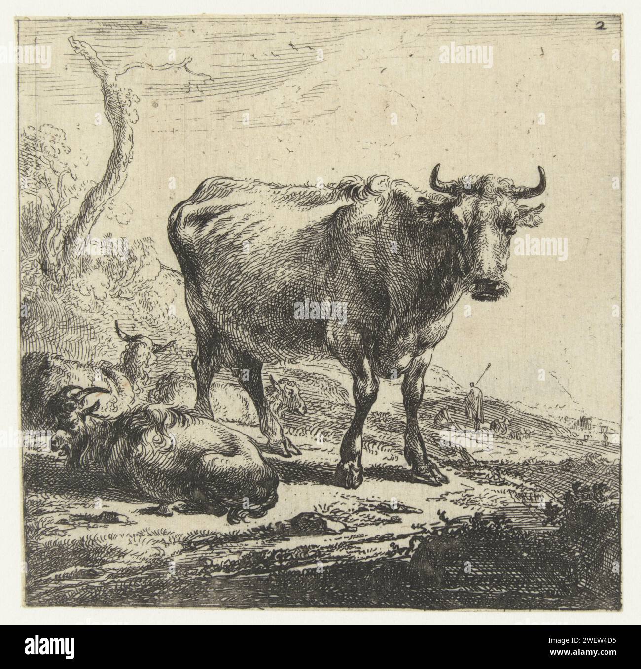 Vache, Nicolaes Pietersz Berchem, 1644 papier d'impression gravure vache Banque D'Images