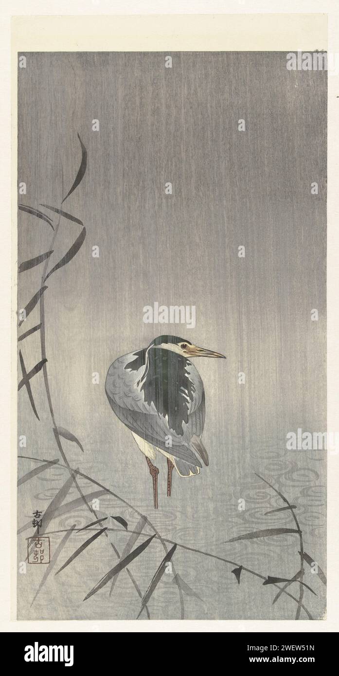 Kwak in Rain, Ohara Koson, 1900 - 1936 imprimer Heron -like, vu sur le dos, debout à marée basse avec des roseaux, dans une averse de pluie. papier couleur bois taillé rivage-oiseaux et échassiers : heron. pluie. cours d'eau Banque D'Images