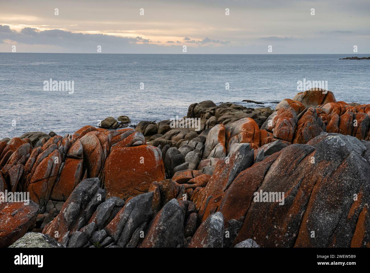 Larapuna ou la baie des feux et le parc national du mont William, Tasmanie, Australie Banque D'Images