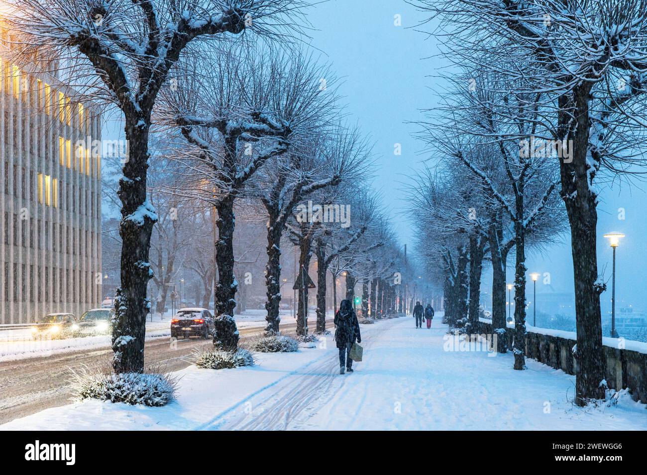 Hiver à la rue Konrad-Adenauer-Ufer quartier Altstadt-Nord, à gauche l'Institut économique allemand, neige, Cologne, Allemagne. Janvier 17. 2024 Banque D'Images