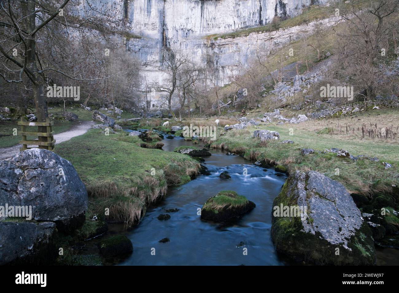 Malham Beck s'écoulant de sous Malham Cove, dans les Yorkshoire Dales, Royaume-Uni Banque D'Images