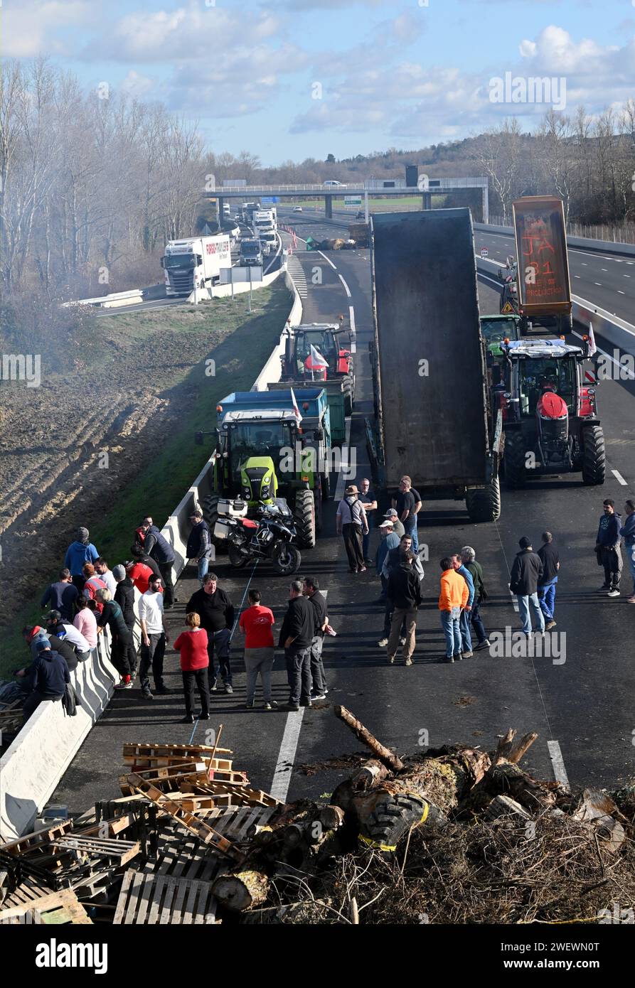 Toulouse, France. 24 janvier 2024. © PHOTOPQR/LA DEPECHE DU MIDI/MICHEL VIALA ; Toulouse ; 24/01/2024 ; DDM-MICHEL VIALA LES AGRICULTEURS en COLERE BLOQUENT l'ECHANGEUR DE l'AUTOROUTE A 61 A VILLEFRANCHE DE LAURAGAIS A61 AUTOROUTE ; 01/25/2024 ; les agriculteurs manifestent en bloquant l'autoroute A51 crédit : MAXPPP/Alamy Live News Banque D'Images