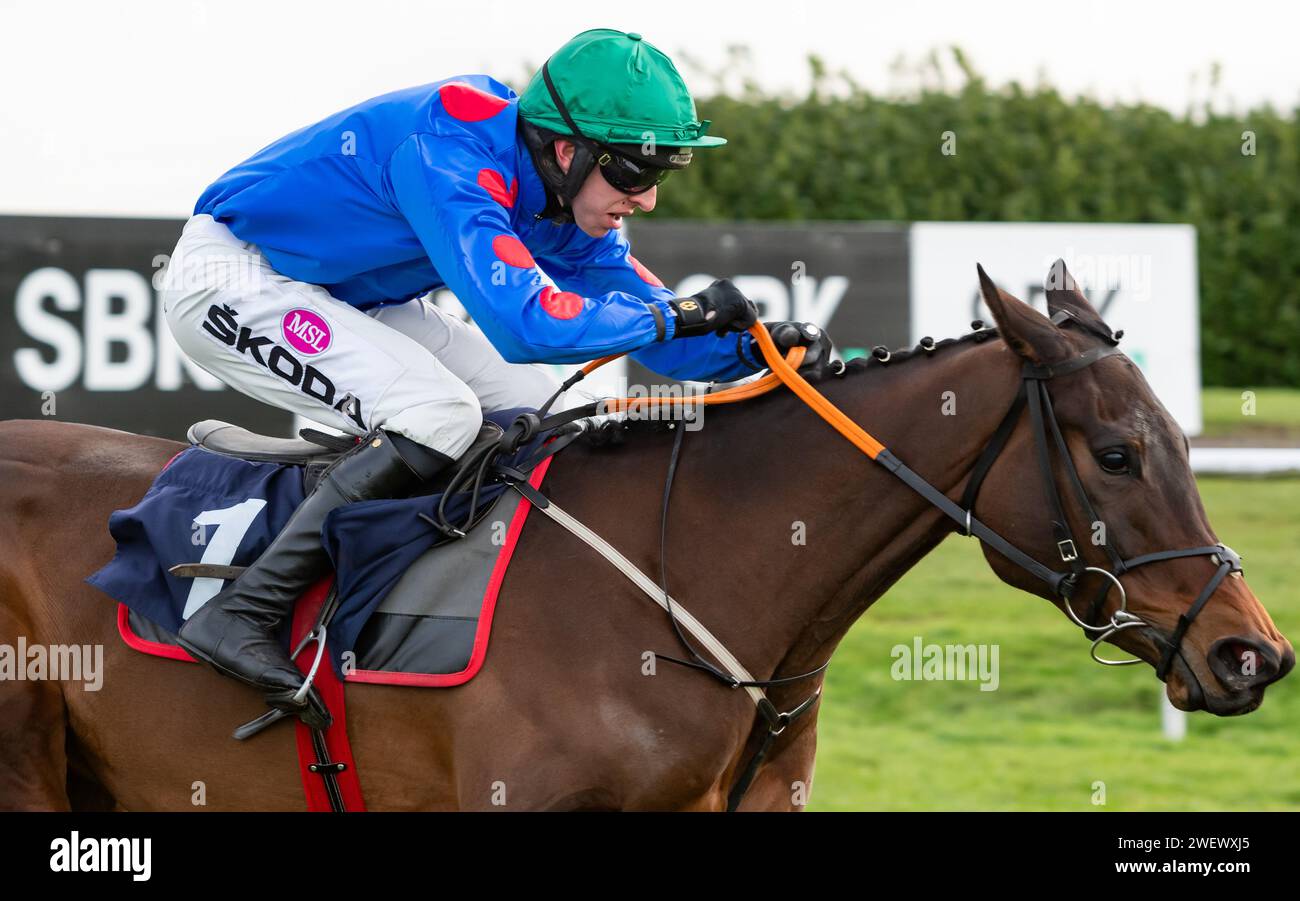 Doncaster Racecourse, Royaume-Uni, samedi 27 janvier 2024 ; Wodhooh et le jockey Mark Walsh remportent le SBK Filliess' Juvenile Hurdle (listé) pour l'entraîneur Gordon Elliott et les propriétaires du Sundowners Partnership. Crédit JTW Equine Images / Alamy Live News Banque D'Images