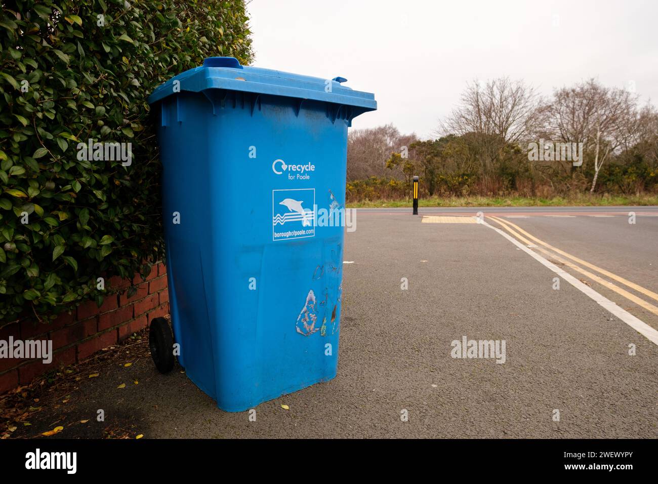 Un bac de collecte de la maison de recyclage bleu du conseil poole laissé sur le trottoir prêt pour la collecte.Dorset Angleterre. Banque D'Images