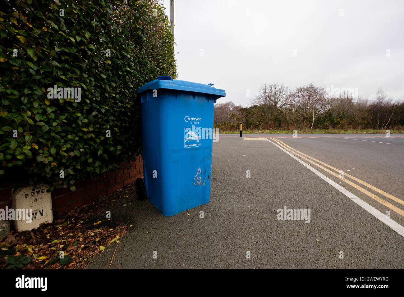 Un bac de collecte de la maison de recyclage bleu du conseil poole laissé sur le trottoir prêt pour la collecte.Dorset Angleterre. Banque D'Images
