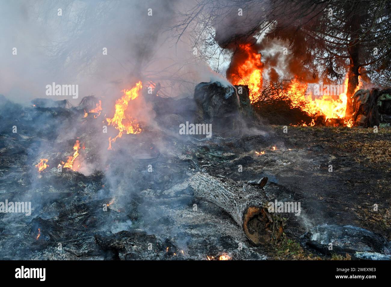 France. 26 janvier 2024. © PHOTOPQR/POPULAIRE DU centre/stephane Lefèvre ; ; 26/01/2024 ; manifestation agriculteurs/blocage autoroute A 20/agriculture/Limoges/le 26/01/24/PHOTO Stéphane LEFEVRE - manifestation paysanne française, autoroute à grande vitesse A20 France 27 janvier 2024 crédit : MAXPPP/Alamy Live News Banque D'Images