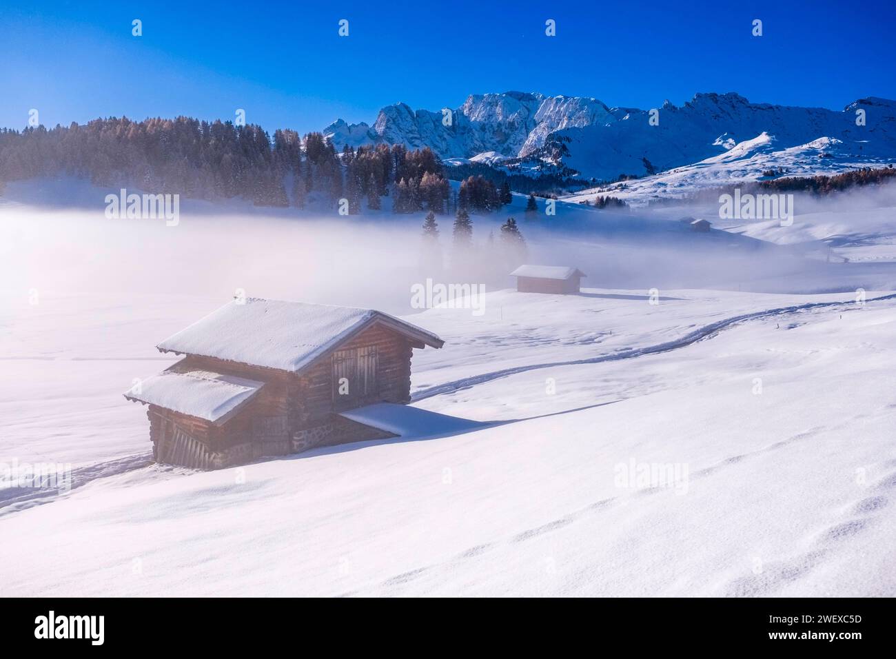 Campagne agricole vallonnée avec brouillard, cabanes en bois et pâturages enneigés à Seiser Alm, en hiver, les sommets de Catinaccio se regroupent au loin. Banque D'Images