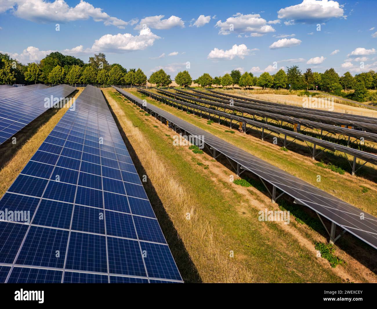 Énergie régénérative à l'aide de panneaux solaires sur un champ agricole en été avec la nature et le soleil Banque D'Images