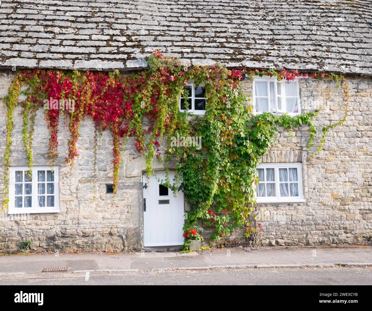 Beau cottage anglais avec creepers Banque D'Images