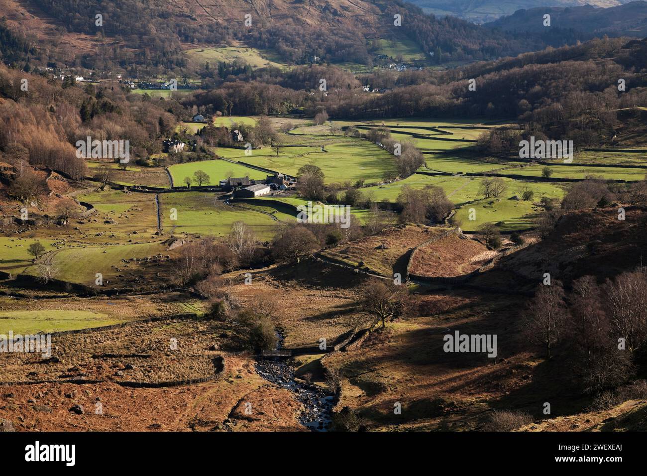 Easedale Beck coulant le long d'Easedale près de Grasmere, dans le English Lake District, Cumbria, Royaume-Uni Banque D'Images