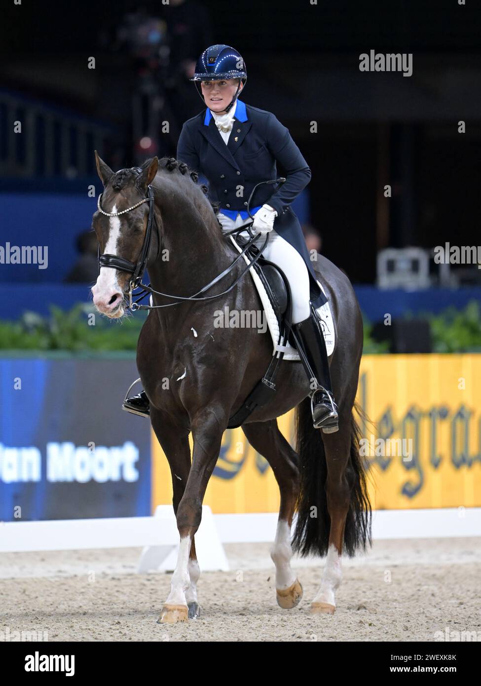 AMSTERDAM - Nanna Skodborg Merrald avec Blue hors, Don Olymbrio lors de la compétition de dressage coupe du monde FEI au tournoi Jumping Amsterdam 2024 au RAI le 26 janvier 2024 à Amsterdam, pays-Bas. ANP | Hollandse Hoogte | GERRIT VAN COLOGNE Banque D'Images