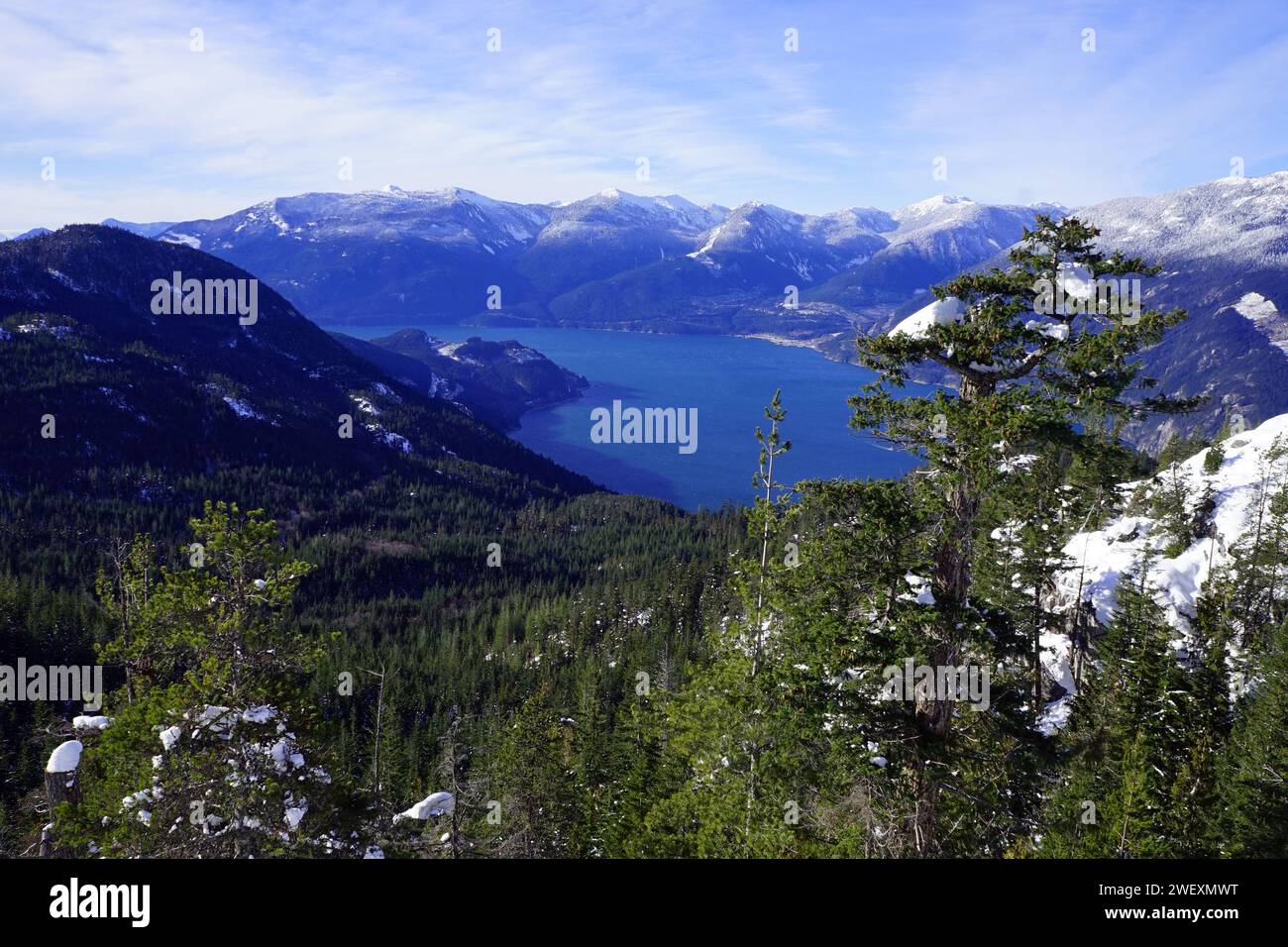 Forêt de montagne en hiver avec des montagnes enneigées au loin Banque D'Images