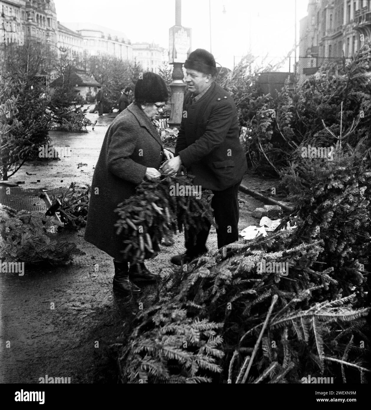 Marché aux arbres de Noël, Vienne, Autriche ; décembre 1971 Banque D'Images