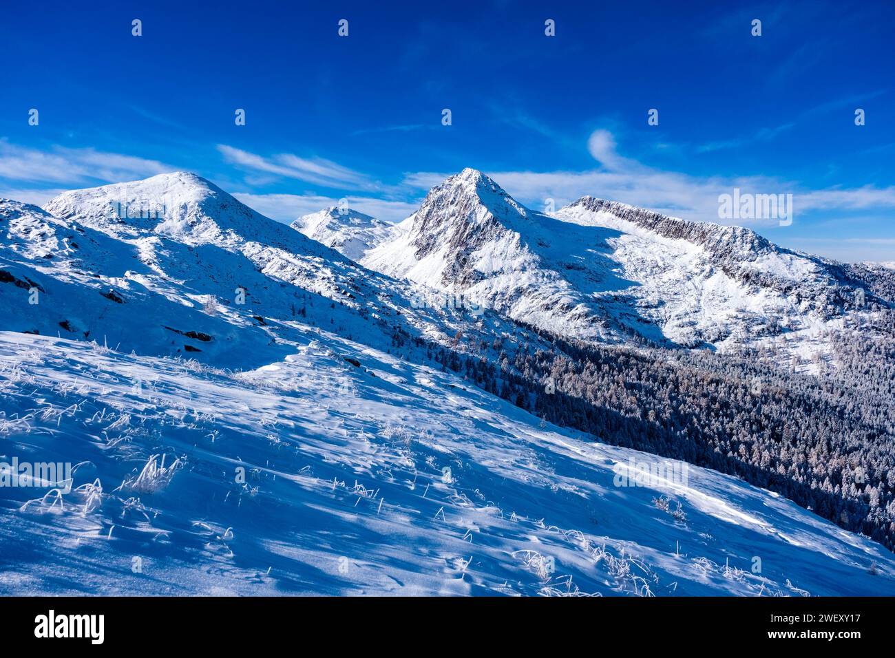 Les sommets enneigés de Cavallazza, Cima Val Cigolera et Colbricon Ovest, vus du sommet de Tognazza en hiver. Banque D'Images