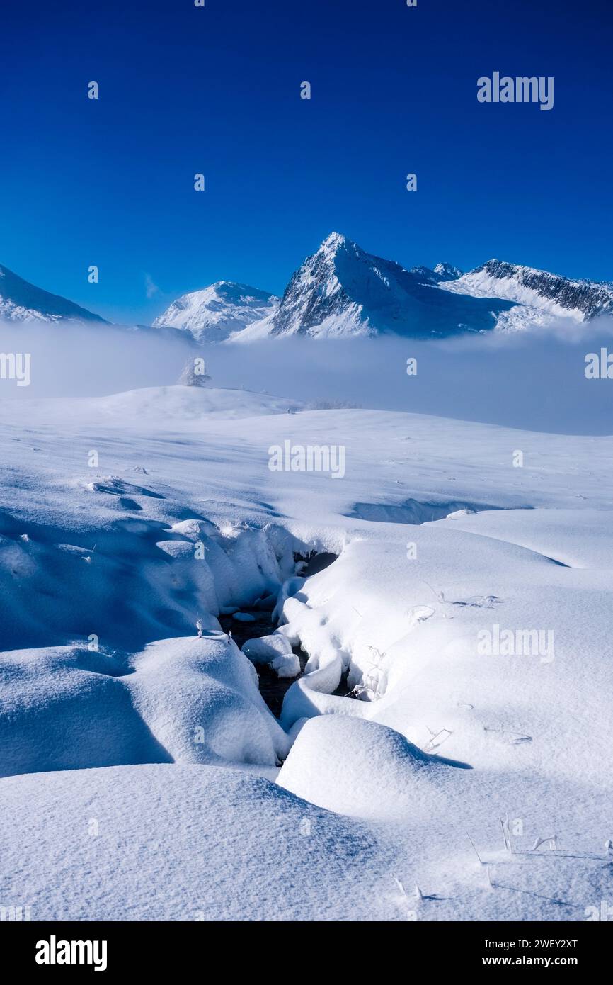 Paysage hivernal avec des pâturages enneigés au-dessus du col Passo Rolle, sommets de Cima Val Cigolera et Colbricon Ovest au loin. Banque D'Images
