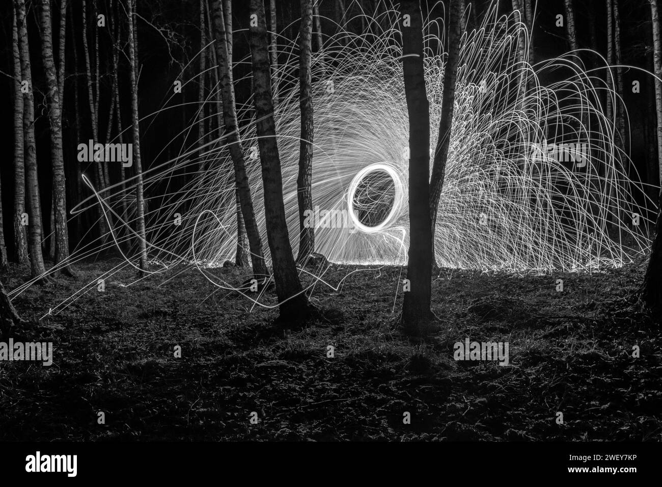 photo monochrome avec des silhouettes d'arbres contre des lumières illuminées, peintures lumineuses, photographie en noir et blanc Banque D'Images