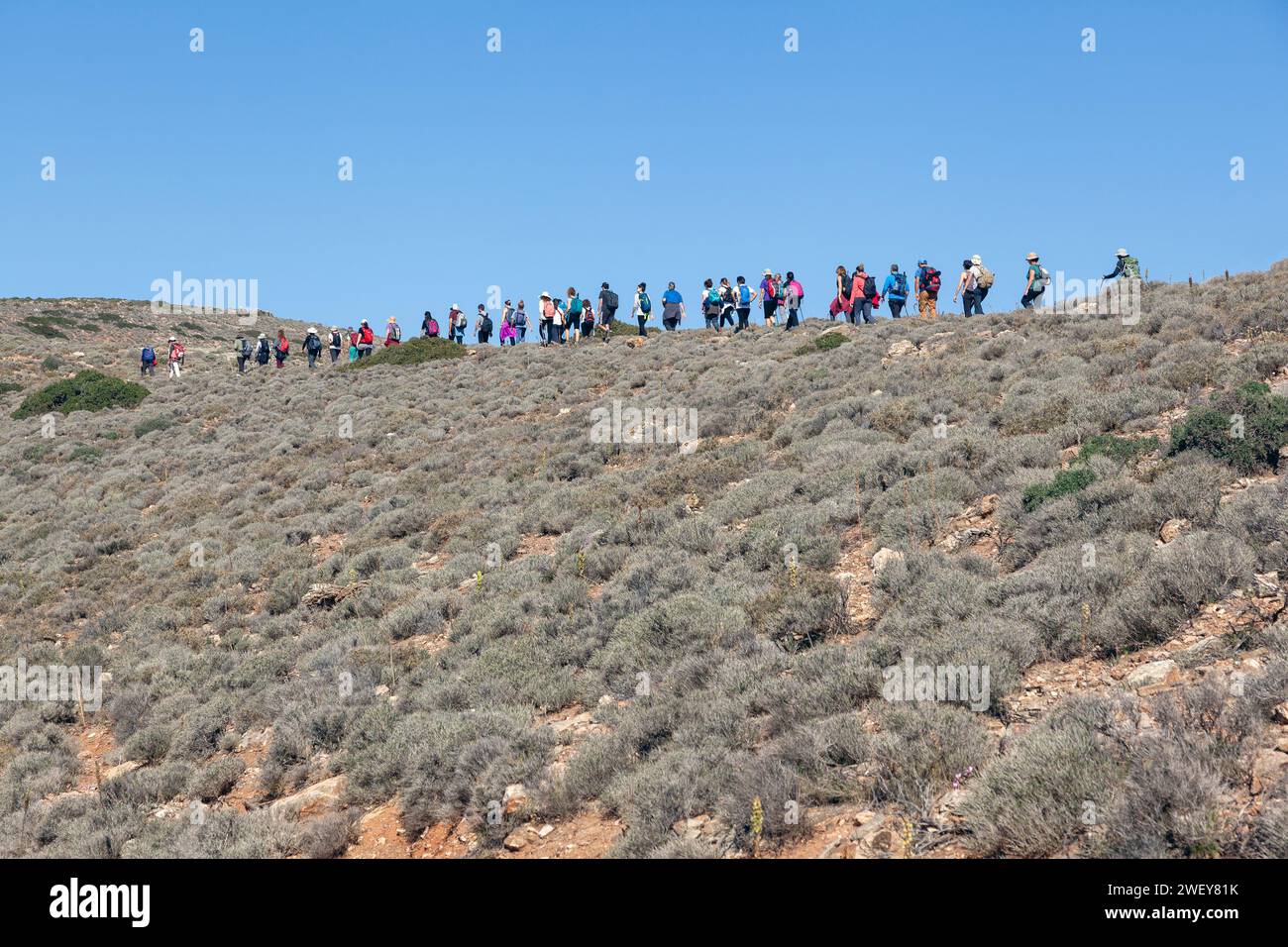 Groupe de personnes marchant sur la crête d'une colline pleine d'arbustes, sur l'île habitée de Makronisos, dans les îles des Cyclades, Grèce, Europe. Banque D'Images