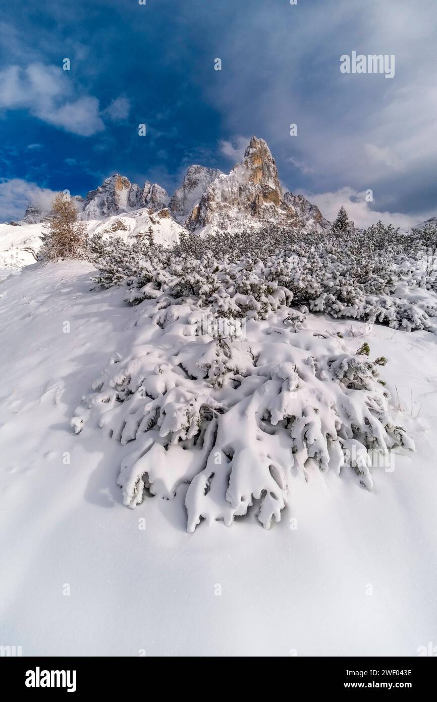 Sommets de Cima dei Bureloni, Cima della Vezzana et Cimon della Pala à gauche du groupe Pala, vu du haut du col Passo Rolle en hiver. San Mar Banque D'Images