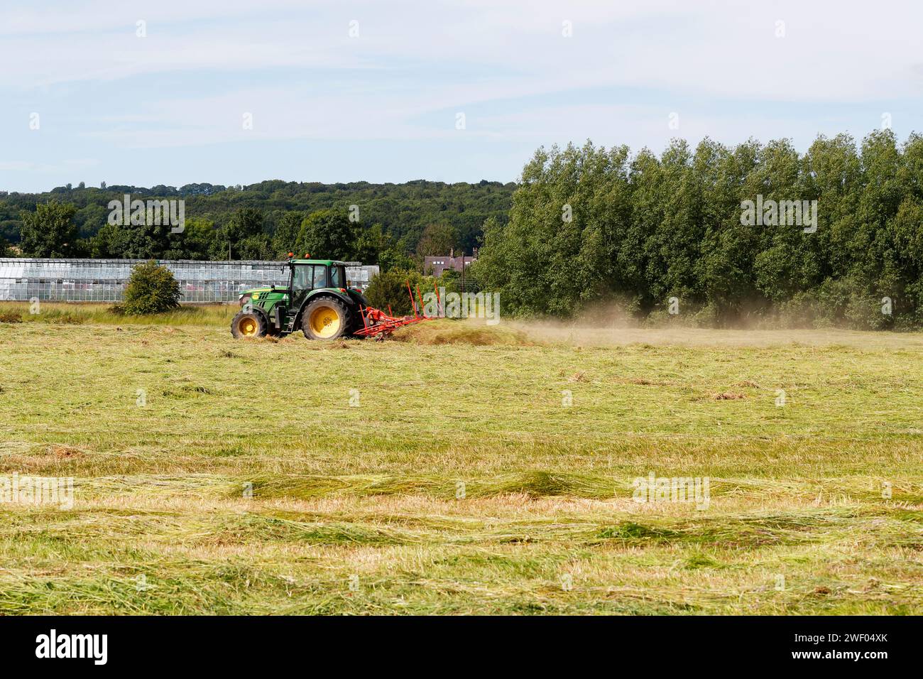 Faire du foin, comme le foin est tourné, fané et séché sur le terrain, la graine de fleur sauvage peut retourner à la prairie. Banque D'Images