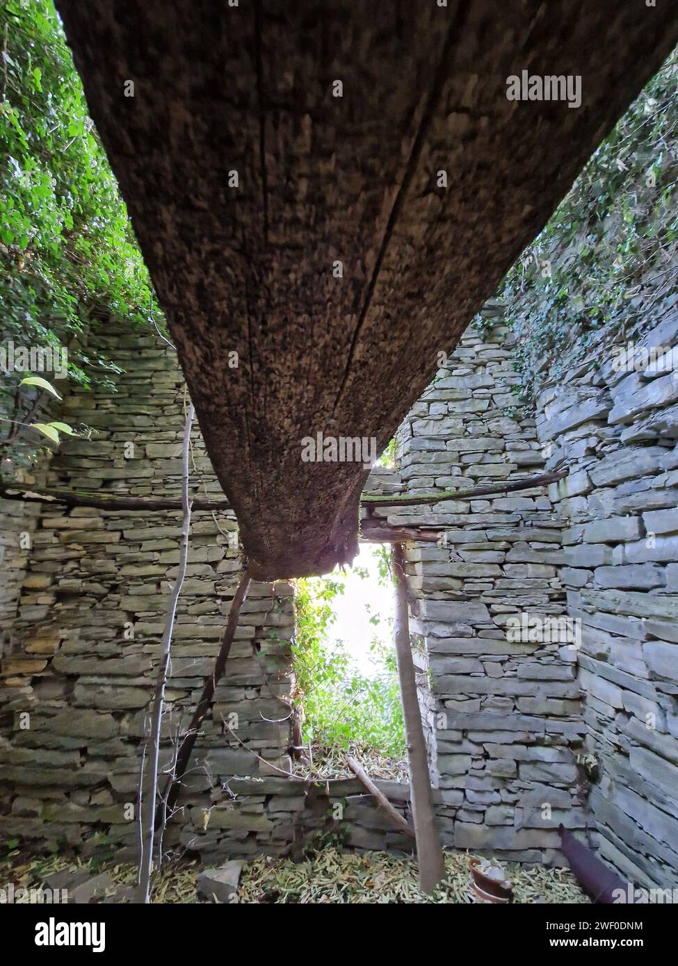 Plafonnier suspendu dans une pièce au milieu d'éléments naturels comme les rochers et les arbres Banque D'Images