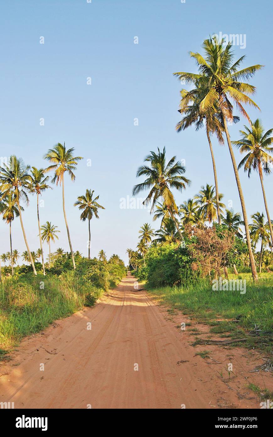 Routes rurales au Mozambique Banque D'Images