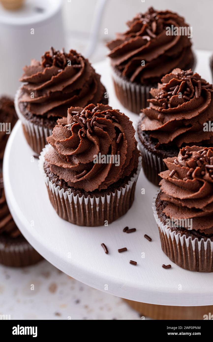 Cupcakes au chocolat garnis de ganache au chocolat fouettée et de saupoudreuses de chocolat Banque D'Images