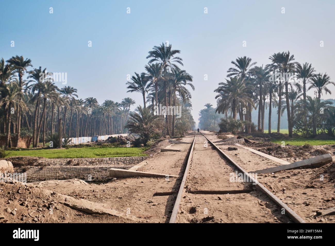 Dahshur, Egypte - 2 janvier 2024 : palmeraie et chemin de fer à Dahshur Banque D'Images