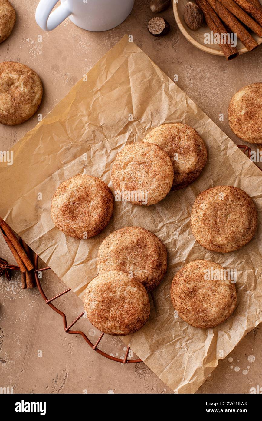 Biscuits snickerdoodle faits maison recouverts de cannelle sur papier parchemin Banque D'Images