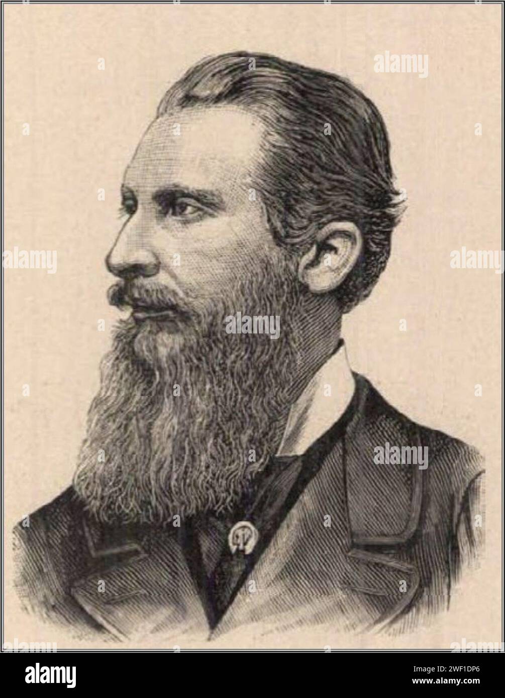Apponyi Albert, országgyűlési képviselő, Vasárnapi Ujság, 1888. Banque D'Images