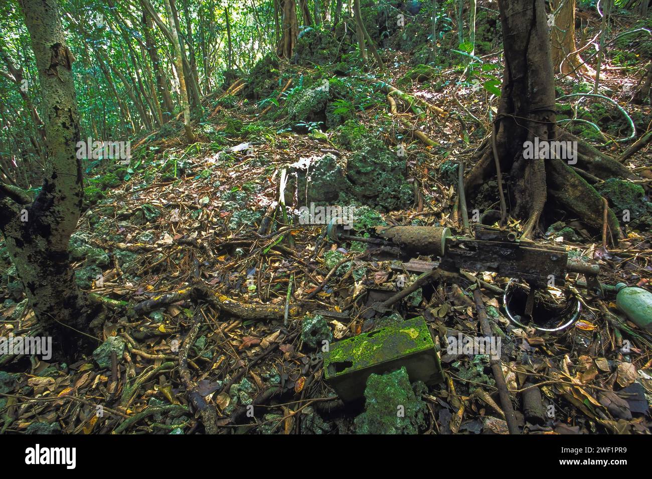 WW2 American M1917 Browning mitrailleuse dans la jungle où elle a été abandonnée en 1944 à la bataille de Peleliu. Peleliu, Palaos, Micronésie Banque D'Images