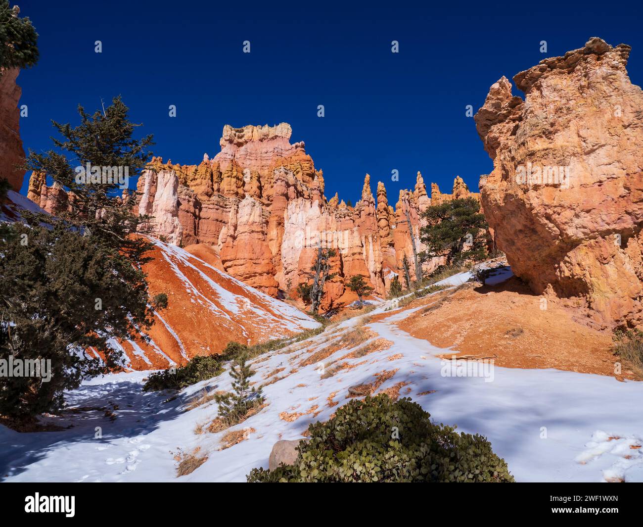 Amphithéâtre de Bryce depuis le Queen's Garden Trail, hiver, parc national de Bryce Canyon, Utah. Banque D'Images