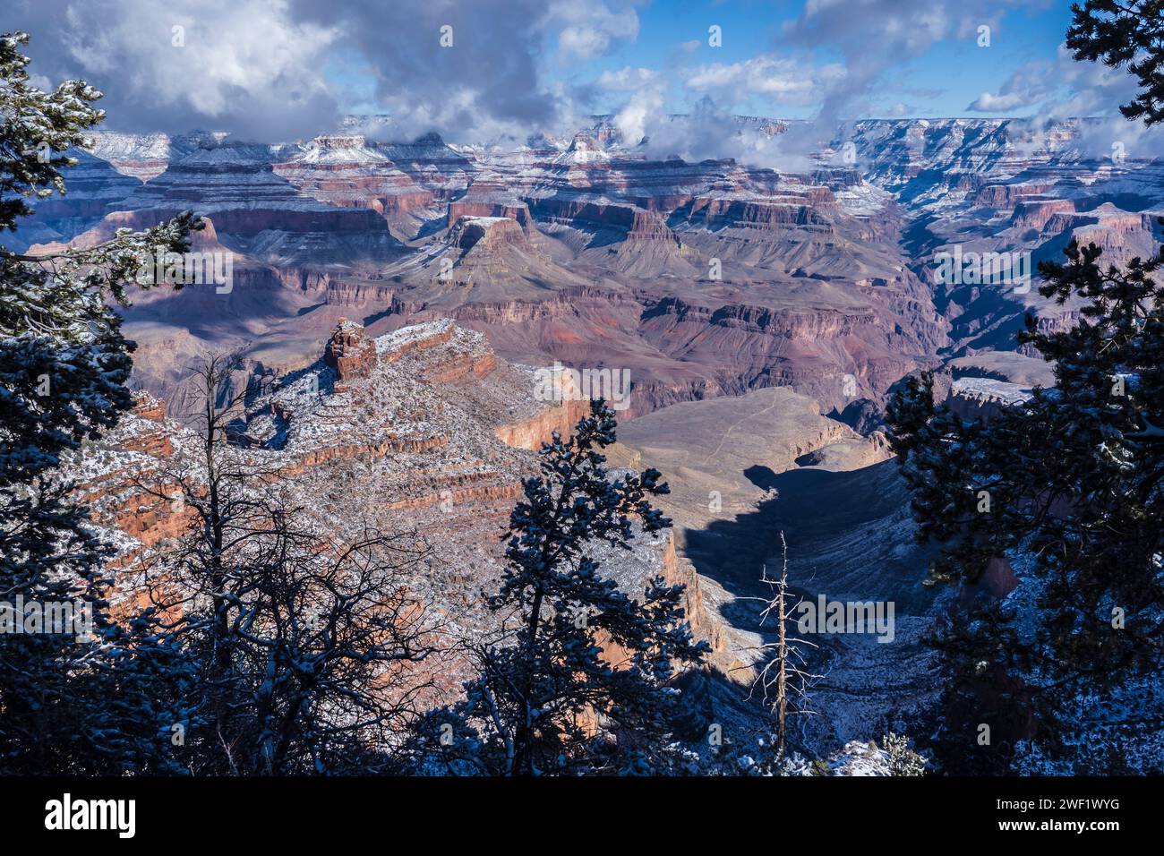 Canyon depuis le Rim Trail, hiver, Grand Canyon Village, Parc National du Grand Canyon, Arizona. Banque D'Images