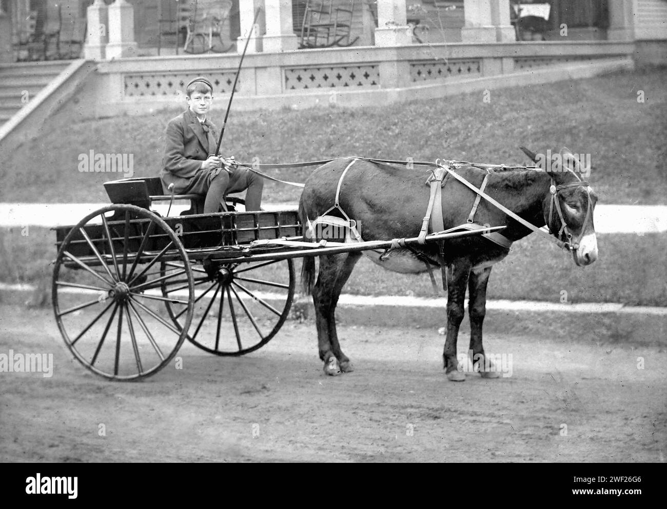 Teen Age Boy est assis dans un chariot à âne, CA. 1915. Banque D'Images