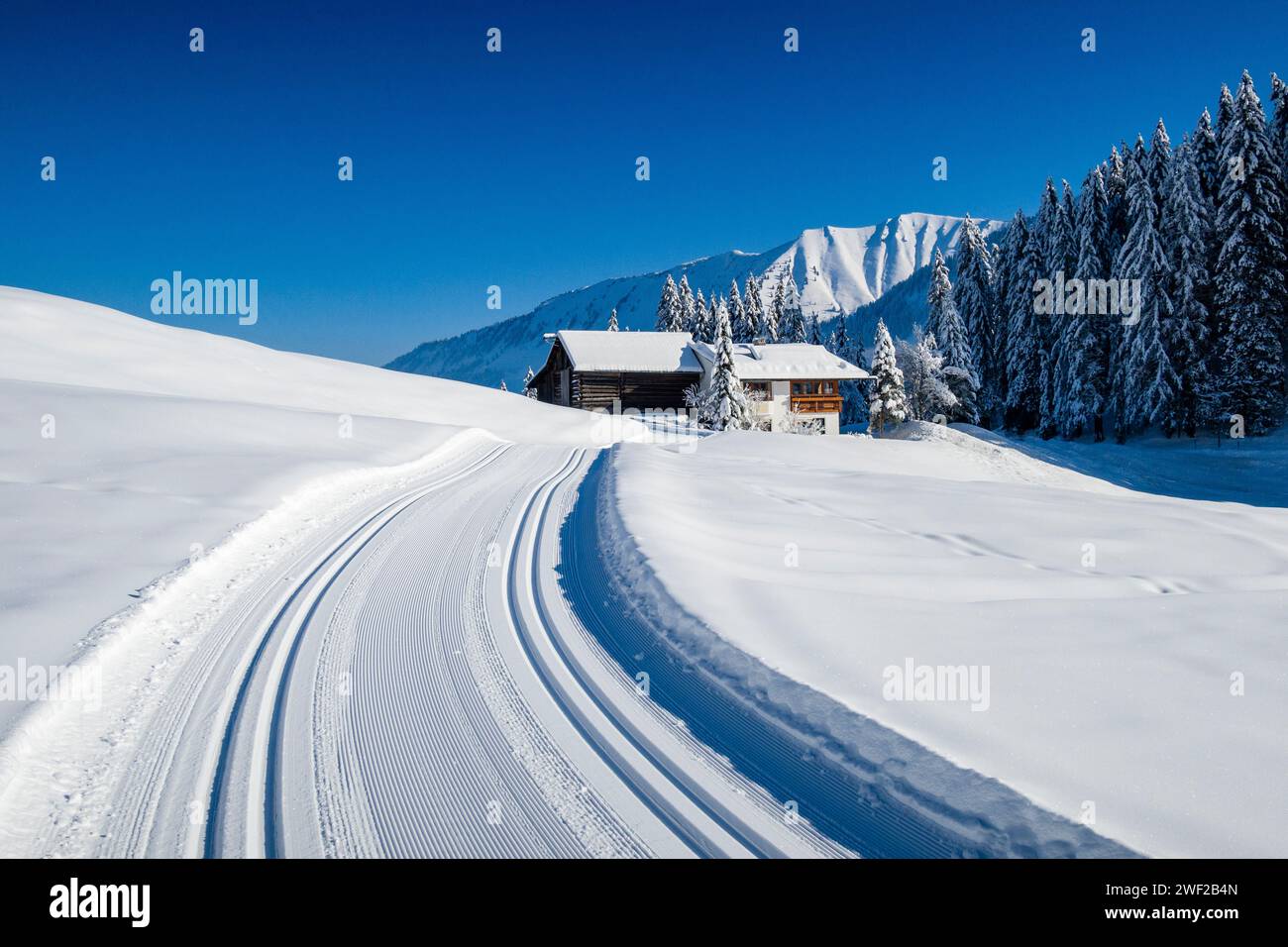 Une piste de ski de fond fraîchement entretenue dans un paysage hivernal dans la vallée de Kleinwalsertal, une ferme et des montagnes enneigées au loin. Banque D'Images