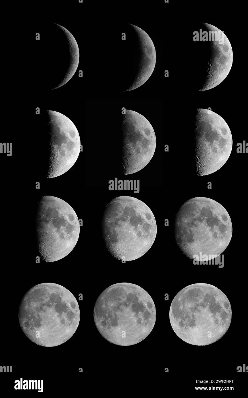 Phases de lune (affiche 12x8 po) Banque D'Images