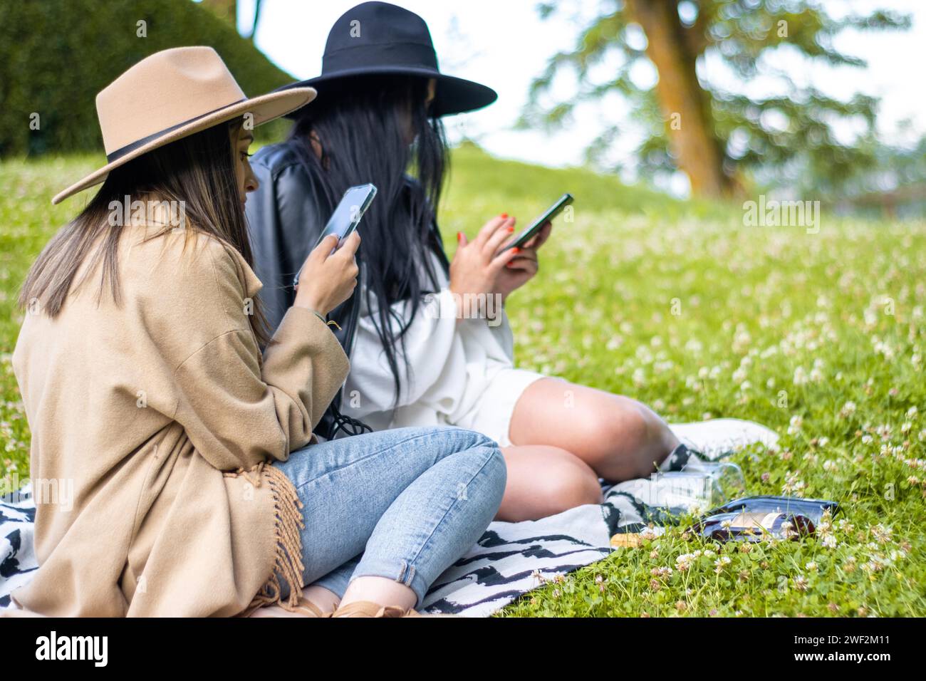 Deux amis détendus assis ensemble sur l'herbe d'un parc, chacun utilisant son propre téléphone Banque D'Images
