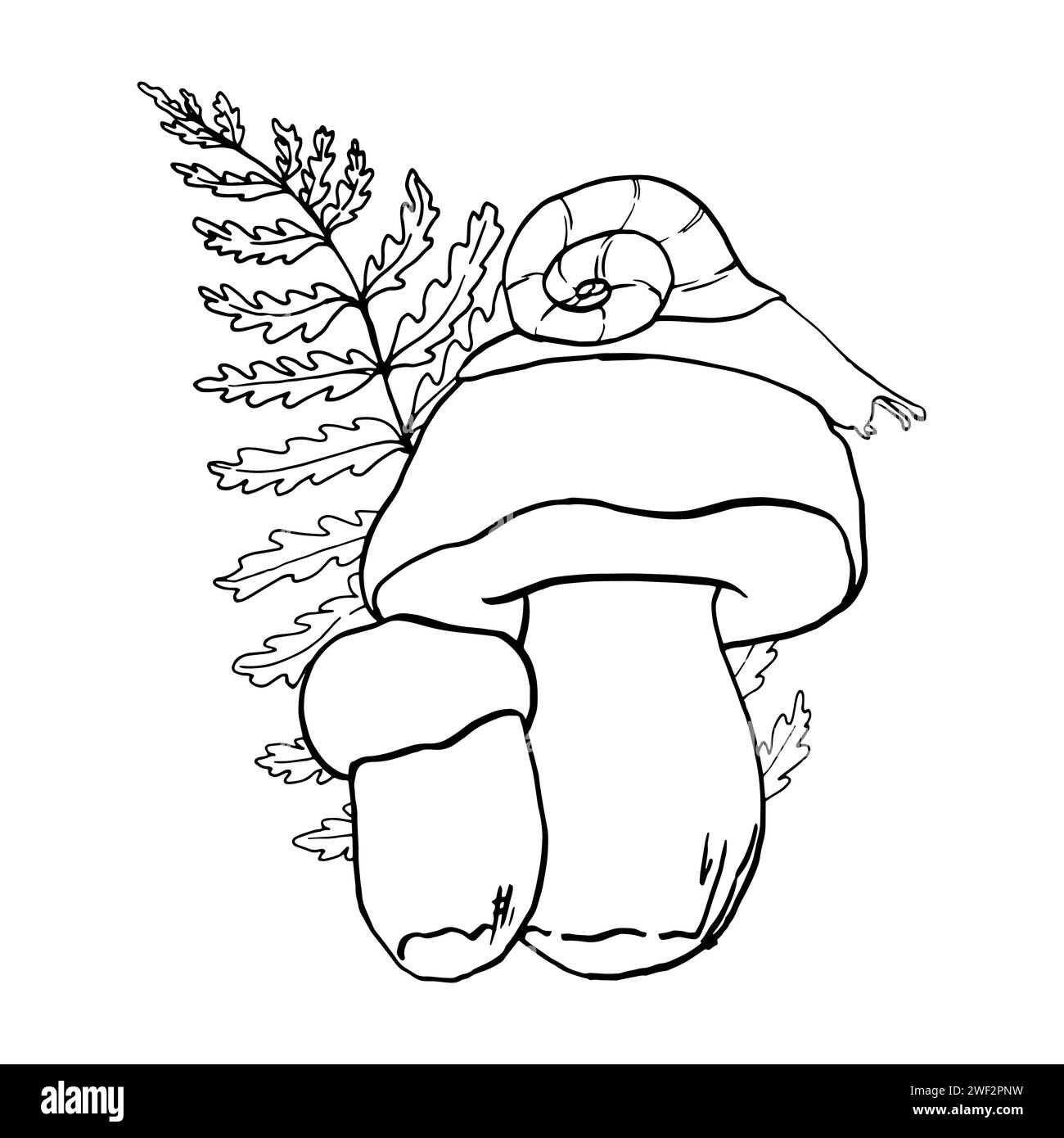 Vector Black Line contour illustration champignon et feuille de chêne dessinés à la main, famille de champignons comestibles. Clip art simple à motif porcini plat pour le d Illustration de Vecteur