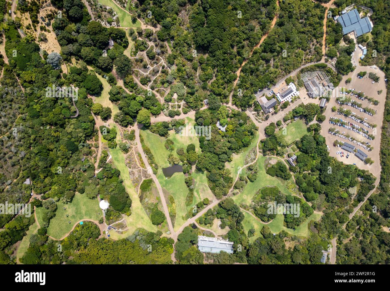 Jardin botanique national de Kirstenbosch, Newlands, Cape Town, Afrique du Sud, 7735 Banque D'Images