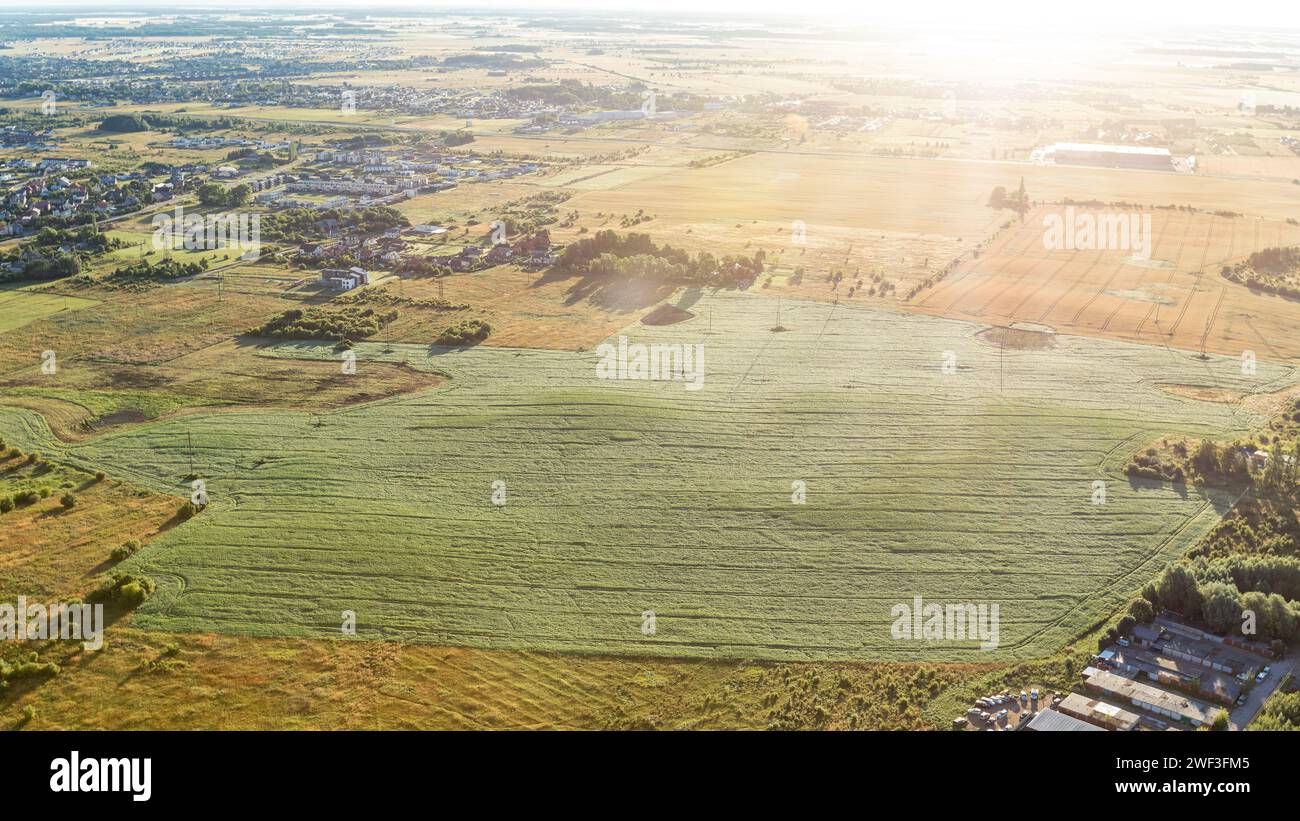 Champs cultivés d'agriculteurs illuminés par les rayons du soleil du matin. Banque D'Images