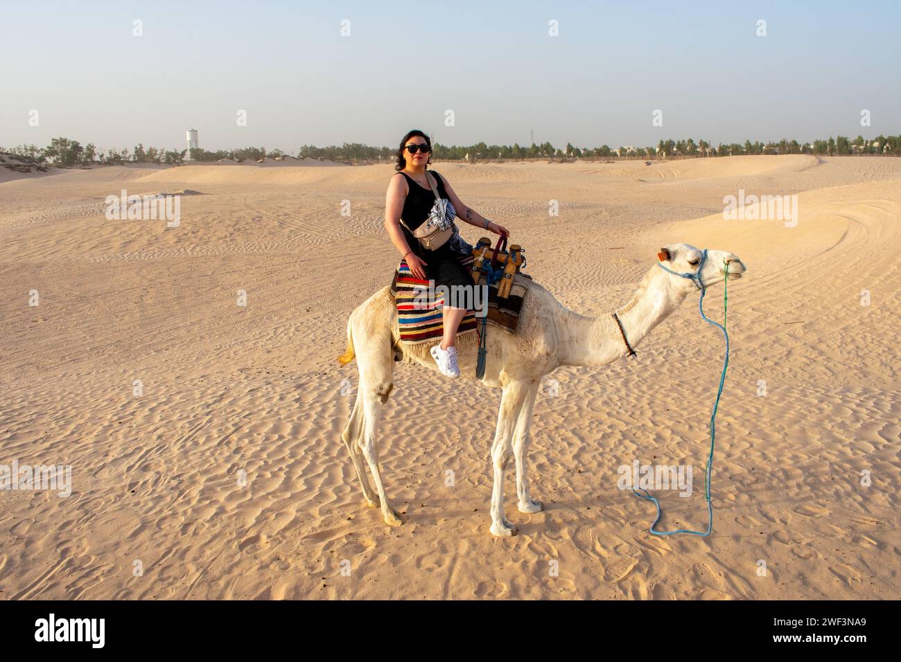 6.11.23 désert du sahara, Tunisie : jeune femme, touriste en safari à dos de chameau dans le désert du Sahara en Tunisie, Afrique du Nord Banque D'Images