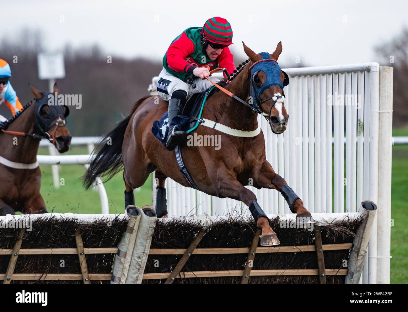 Doncaster Racecourse, Royaume-Uni. 28 janvier 2024. Jaytee et Brian Hughes remportent le défi handicap SBK pour l'entraîneur Ian Williams et le propriétaire M. J Tredwell. Crédit JTW Equine Images / Alamy Live News Banque D'Images