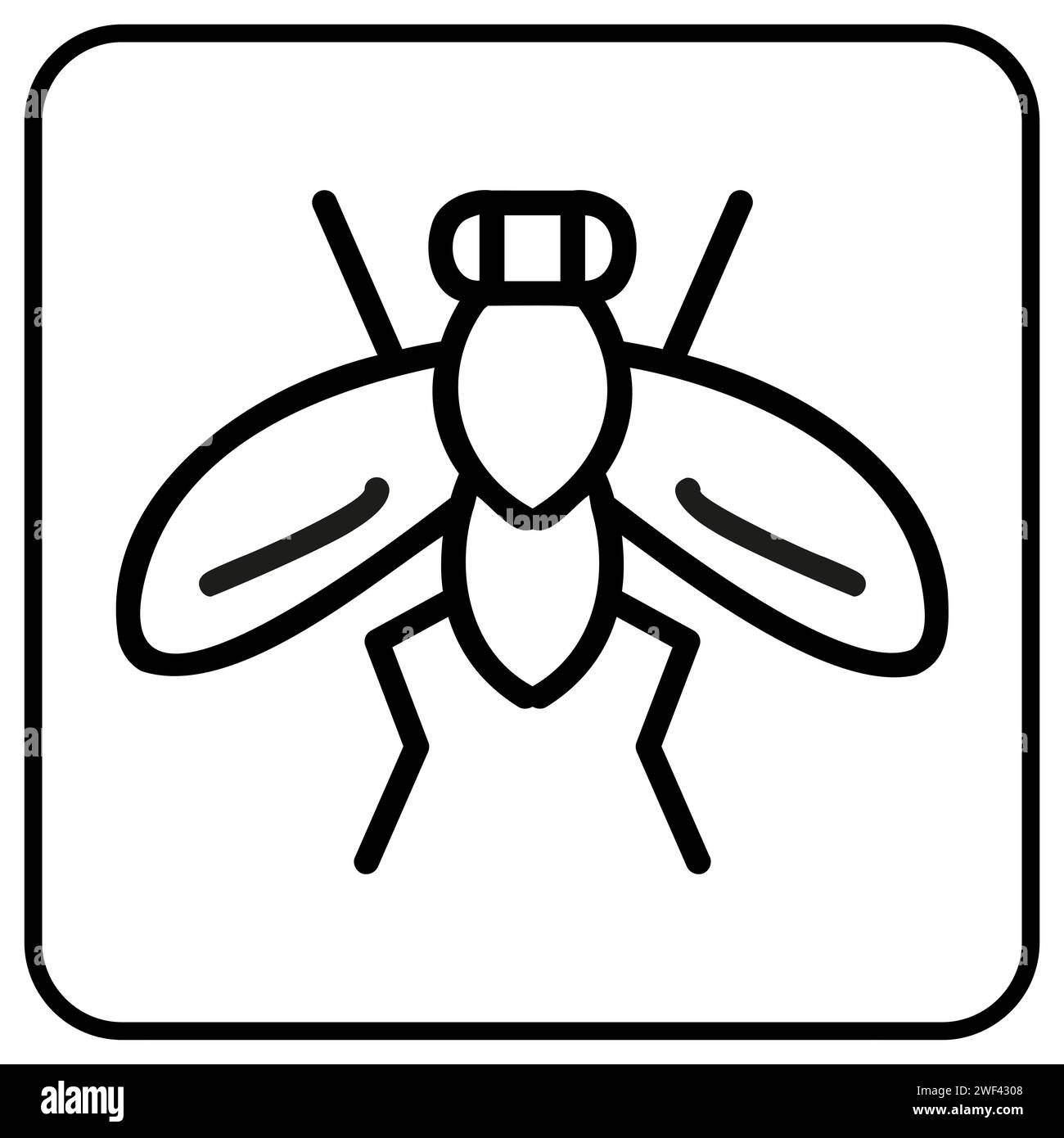 Insectes sur l'icône de vecteur de voiture pour webb ou bouton d'application Illustration de Vecteur